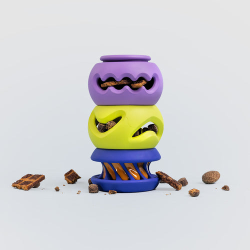 The Starter Stack V8