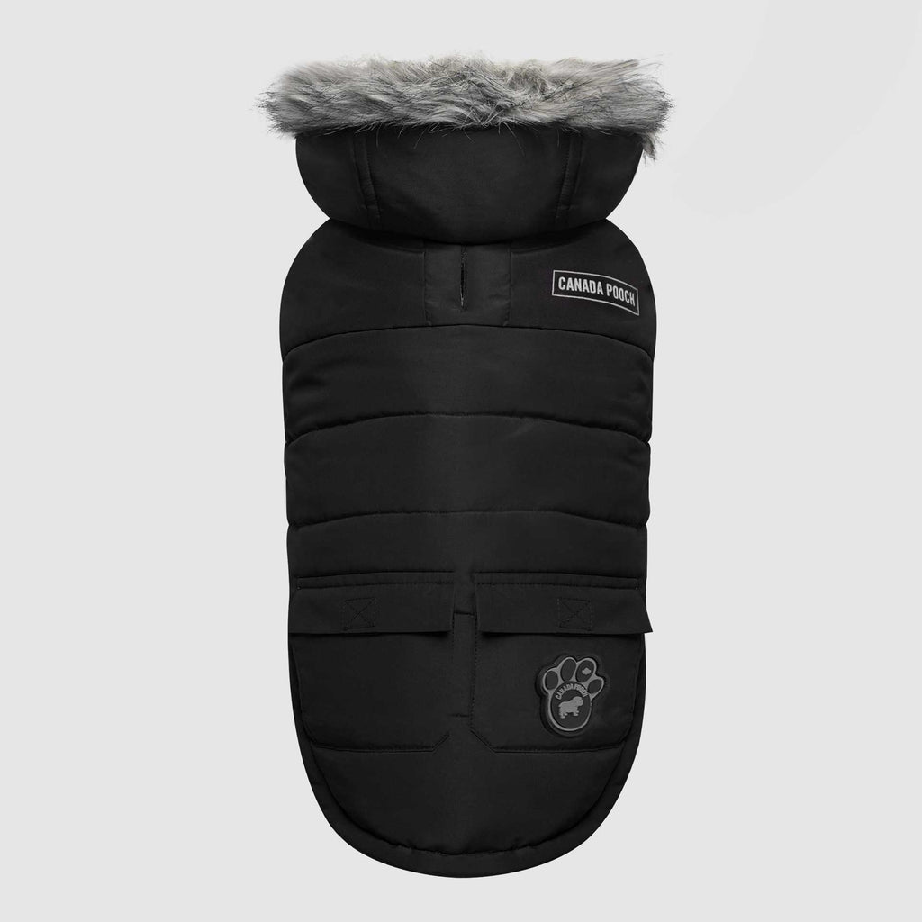 True North Parka I9