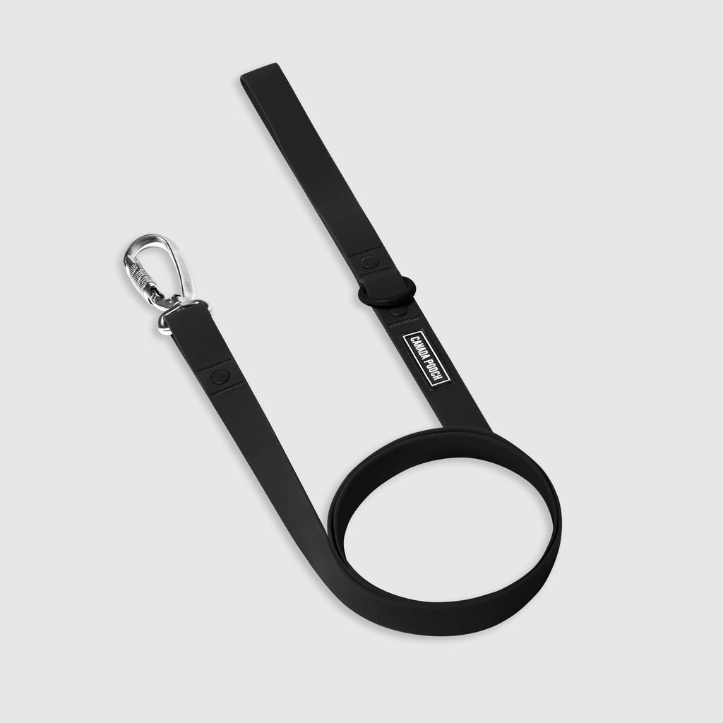 Waterproof Leash K3